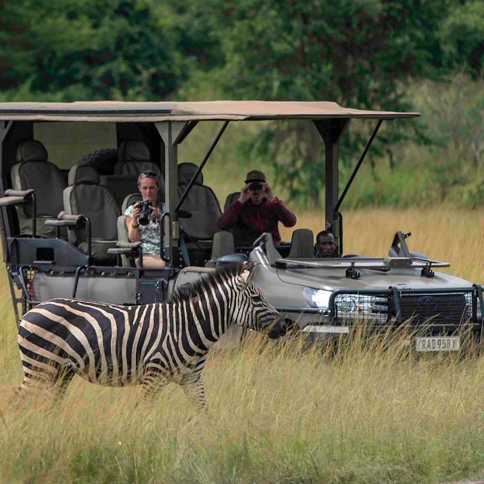 Wilderness Magashi Rwanda Game Drive
