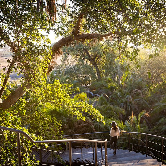 Wilderness Jao Gallery Camp Walkway