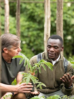 Wilderness Bisate Rwanda Activities Nursery Tree Planting