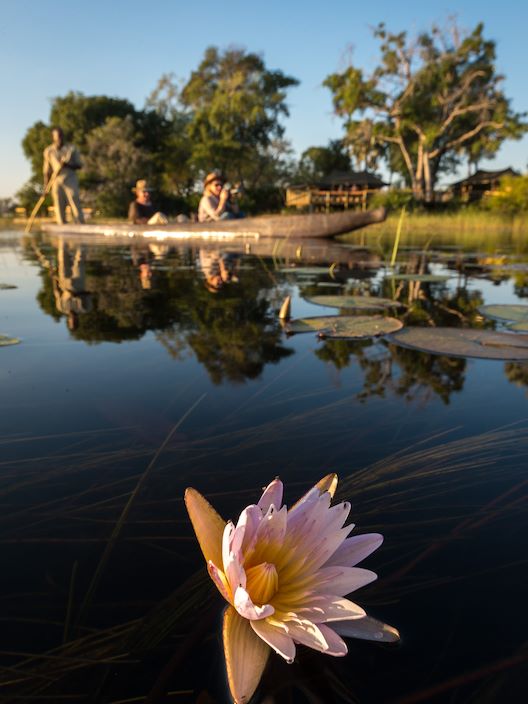 Wilderness Pelo Botswana Waterlily Mokoro Iconic