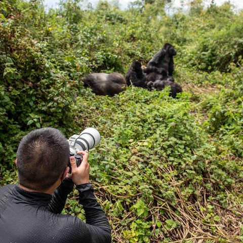 Wilderness Experiences Gorilla Trekking Rwanda