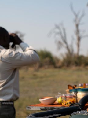 Wilderness Chitabe Lediba Botswana Activities Birding