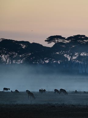 Wilderness Zambia Landscapes Floodplains
