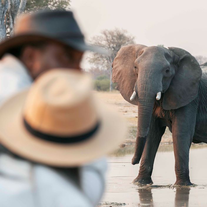 Wilderness Linkwasha Zimbabwe Safari Walk Couple