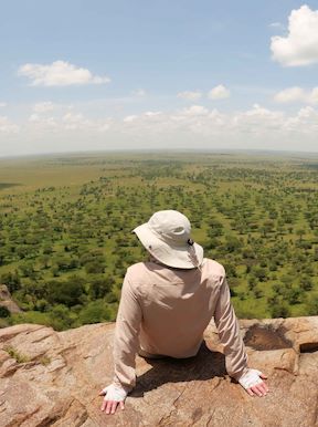 Wilderness Tanzania Habitat Mountain