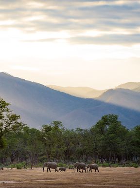 Wilderness Zimbabwe Landscape Woodlands