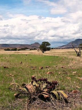 Wilderness Namibia Kunene Landscape Semi Desert