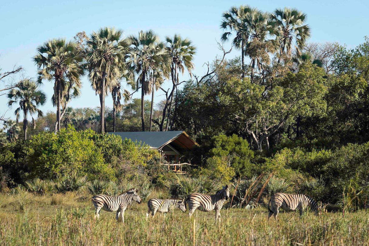 Wilderness Little Tubu Botswana Camp Exterior with Zebra