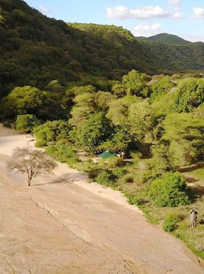 Wilderness Tanzania Habitat Forest+Rift