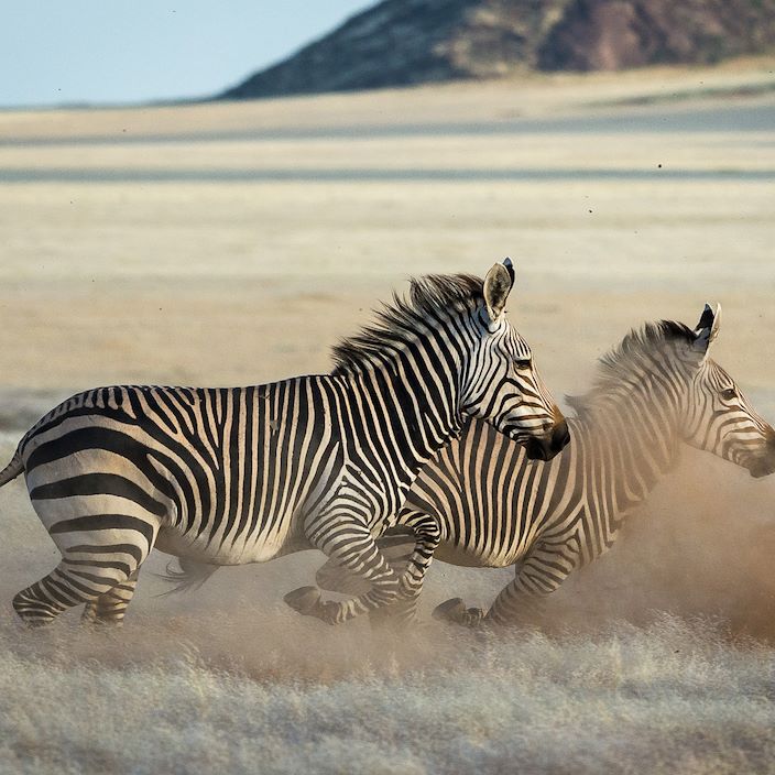 Wilderness Serra Cafema Namibia Zebra Running
