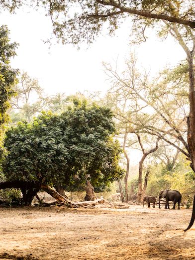 Wilderness Little Ruckomechi Zimbabwe Hero Image