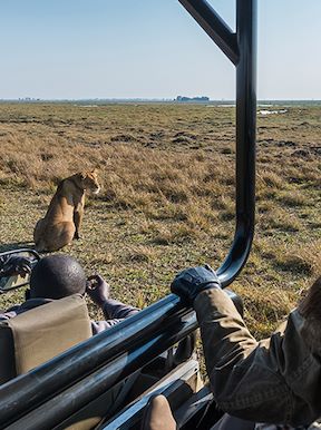 Wilderness Busanga Bush Camp Zambia Activities Game Drive