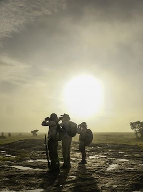 Wilderness Tanzania activities guided walking