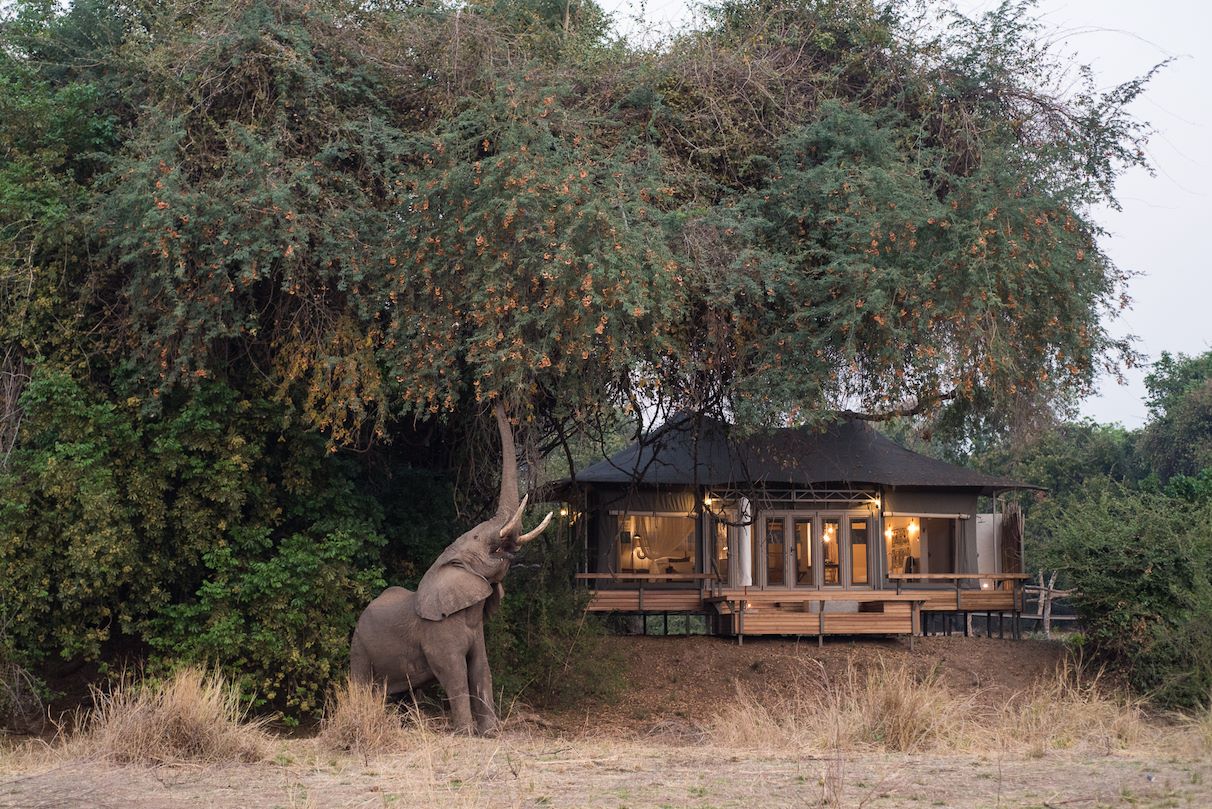 chikwenya safari lodge