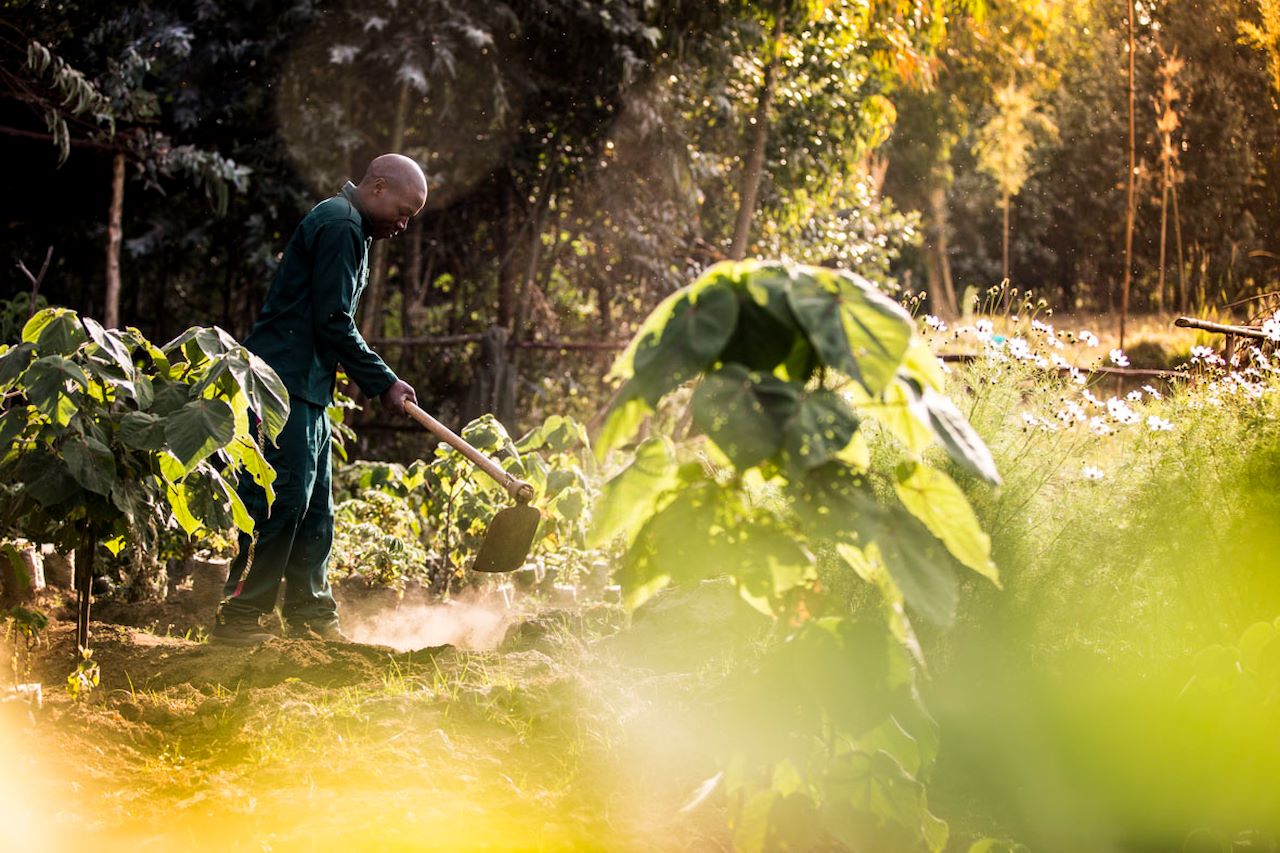 Wilderness Careers Values Purpose Driven Impact