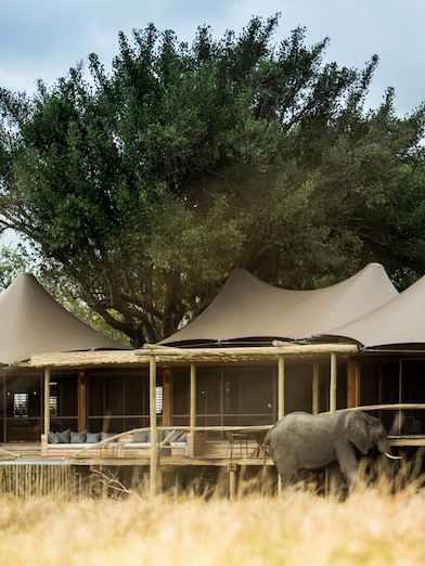 Wilderness Little Mombo Botswana Suite Exterior