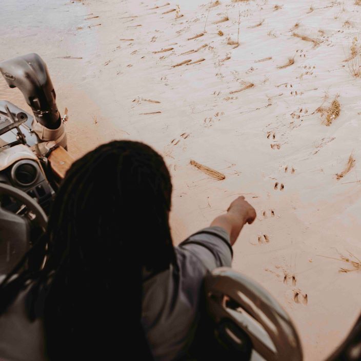 Wilderness Vumbura Plains Botswana Game Drive Tracking