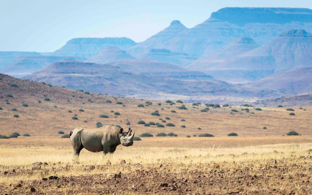 Wilderness Experiences Conservation Endangered Species