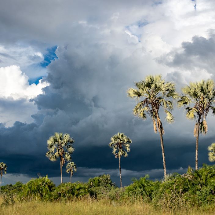 Wilderness Kwetsani Botswana Gallery Floodplains