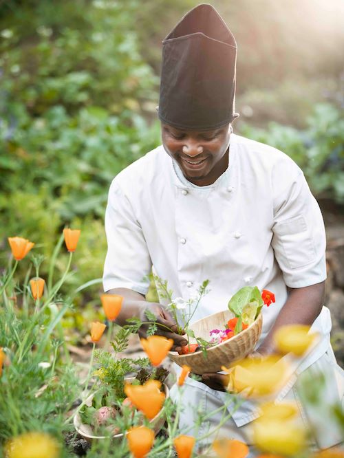 Wilderness Experience Wellness Farm to fork