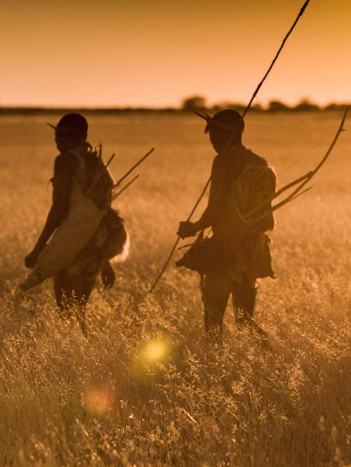 Wilderness Experiences Natural Wonders San Bushman