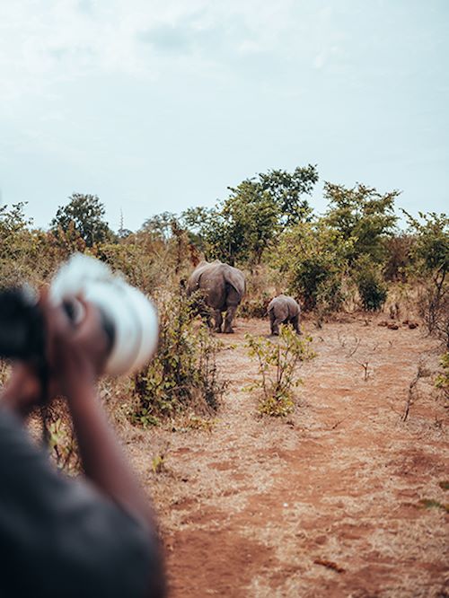 Wilderness Zambia Landscapes