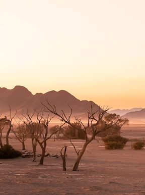 Wilderness Namibia Semi Desert