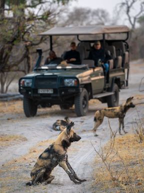 Wilderness Linyanti Tented Camp Botswana Activities Game Drives