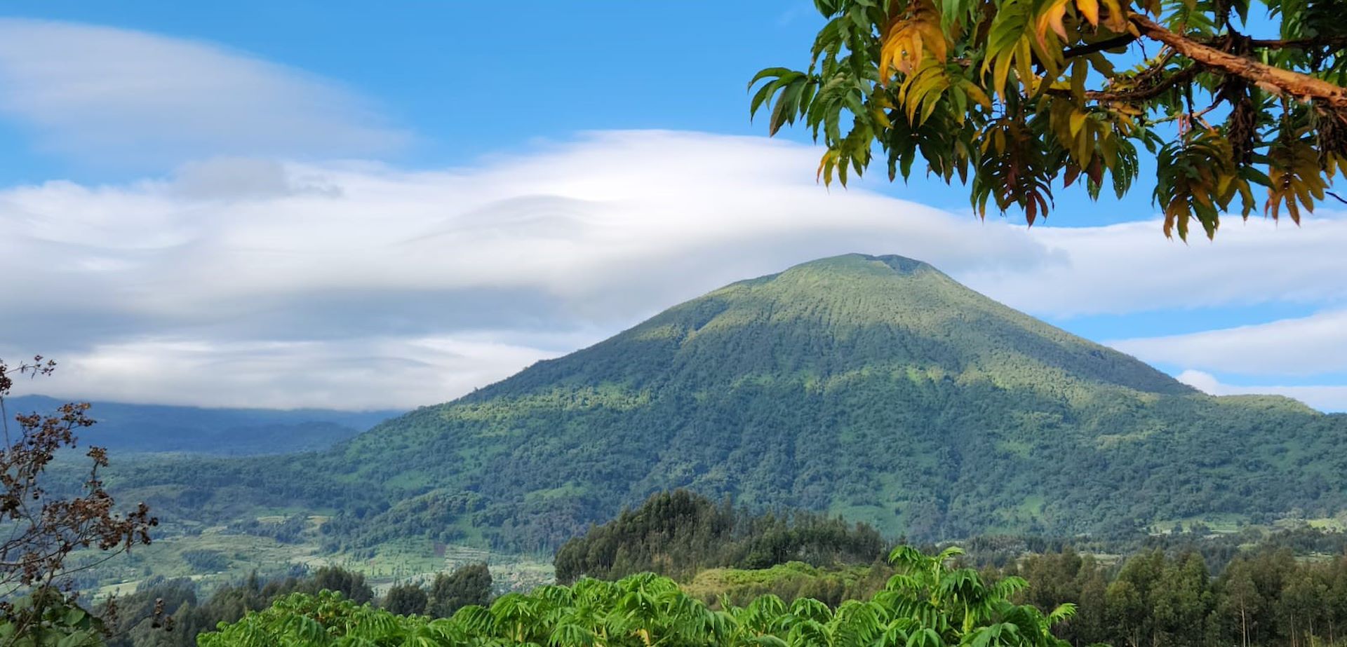 Wilderness Bisate Rwanda Bisoke View