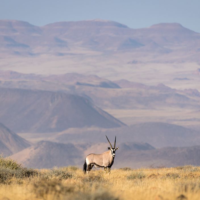 Wilderness Damaraland Camp Namibia Landscape Oryx