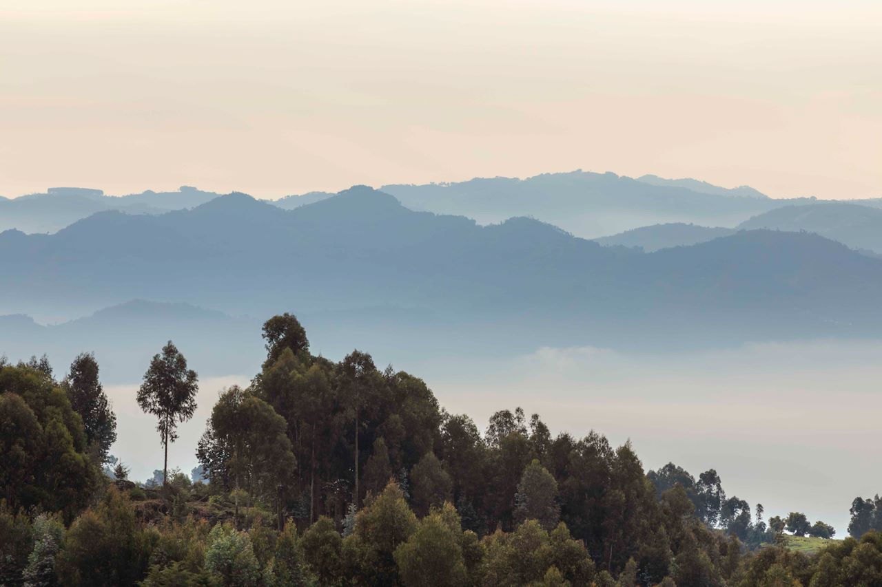 Wilderness Bisate Rwanda Volcanoes National Park