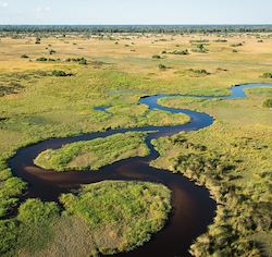 Wilderness Mombo Botswana Delta Channel