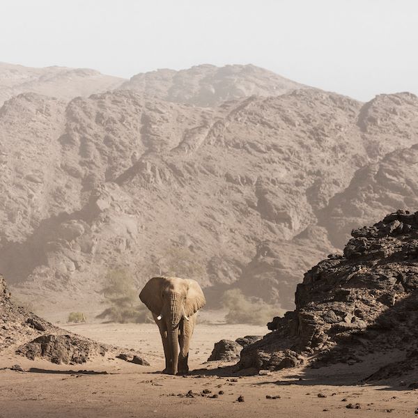 Wilderness Experiences Nature Drive Namibia