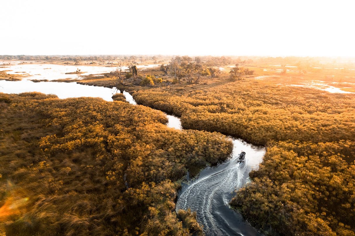 safari botswana luxury