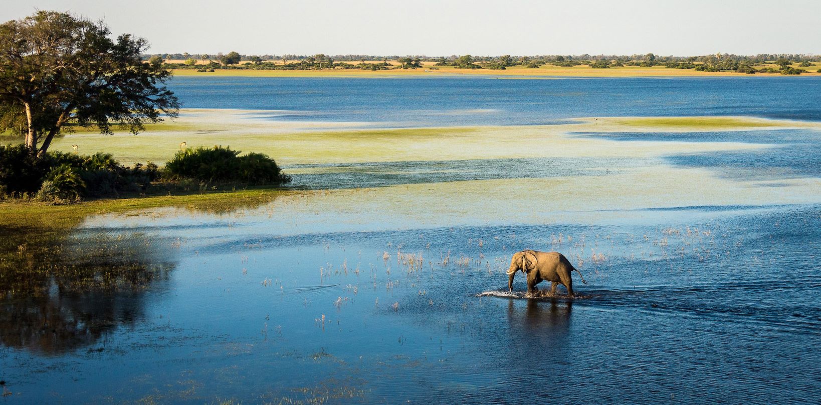 west african safaris