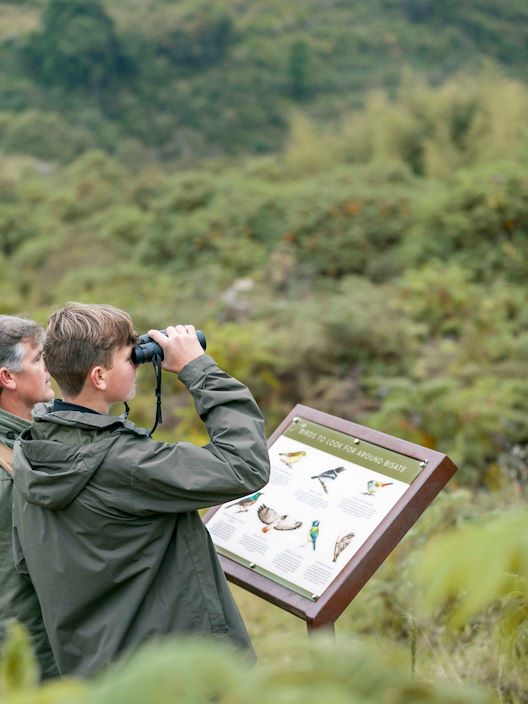 Wilderness Experiences Birding Rwanda Bisate