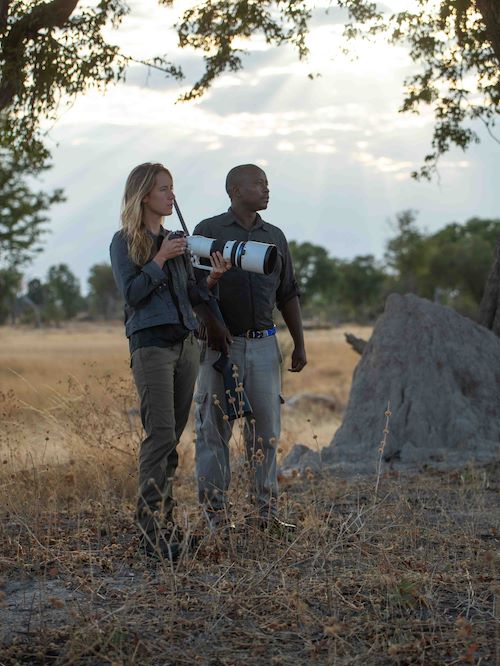 Wilderness Camera Tips Photography On Safari