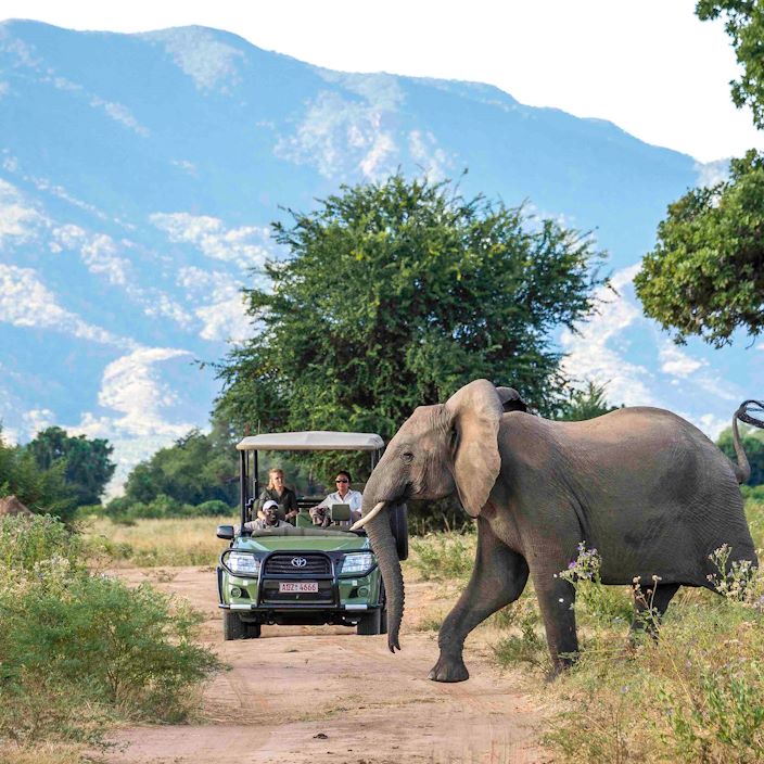 Wilderness Ruckomechi Zimbabwe Game Drive