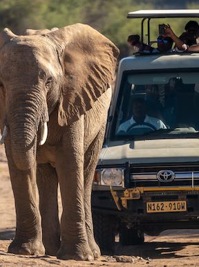 Doro Nawas Camp Namibia Activities Nature Drives