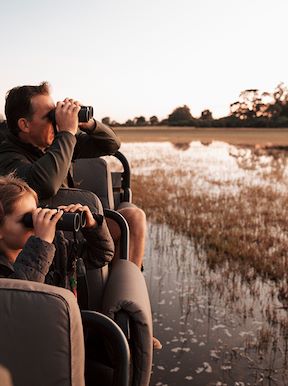 Little Vumbura Botswana Activities Birding