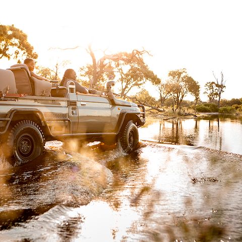 Wilderness Botswana Okavango Game Drive
