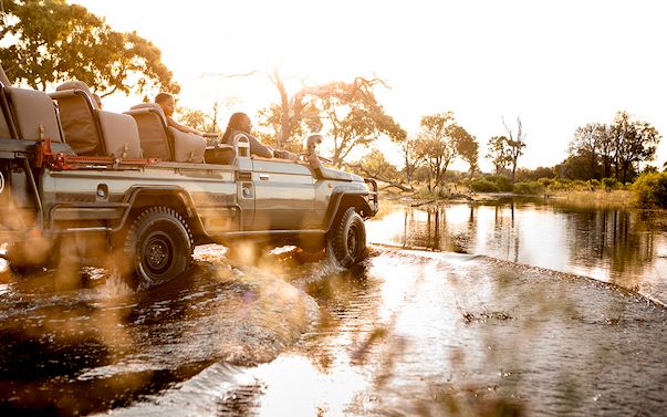 Wilderness Botswana Okavango Game Drive