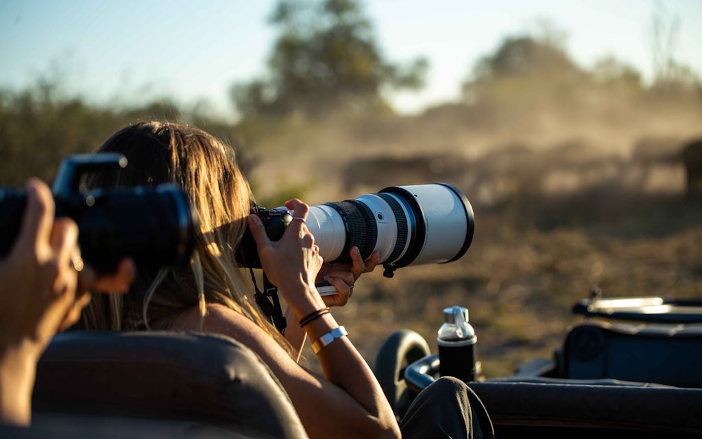 Wilderness Camera Tips Photography On Safari