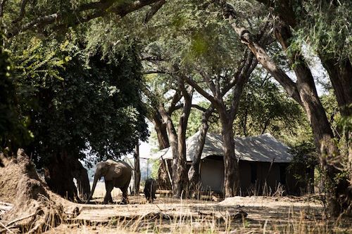 Wilderness Ruckomechi Zimbabwe