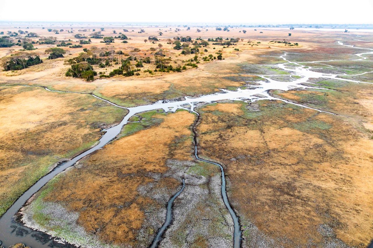 Wilderness Shumba Purpose Impact