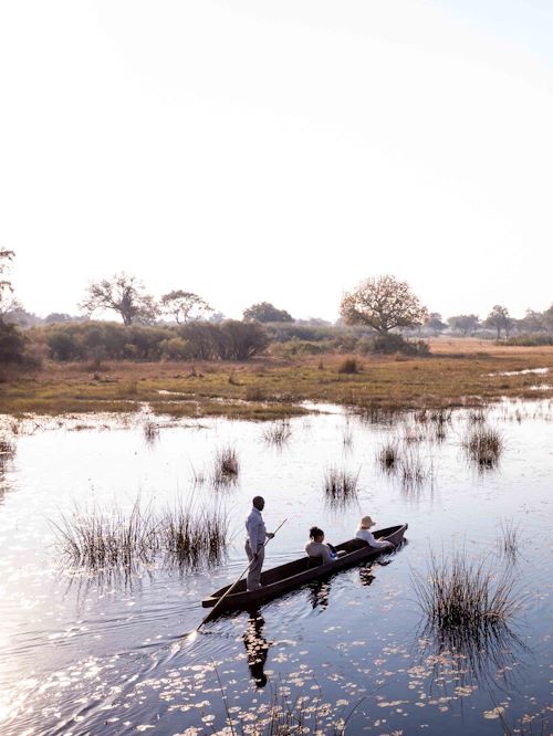 Wilderness Experiences Mokoro Okavango Delta