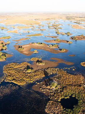 Wilderness Botswana Okavango Landscape Floodplains
