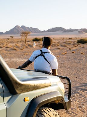 Nature drives in an open vehicle explore the details of the desert