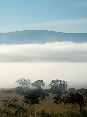Wilderness Rwanda Landscape Wetlands
