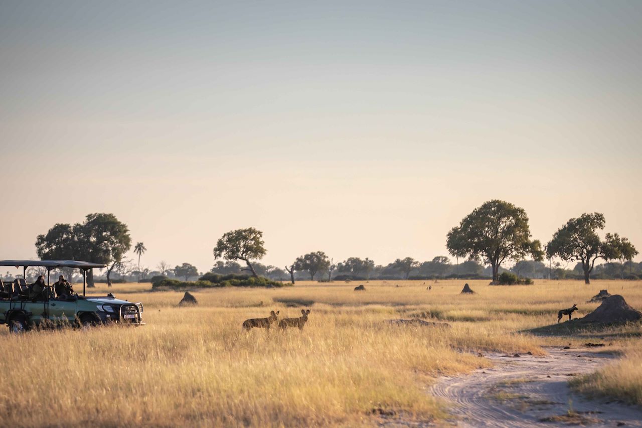 Wilderness Little Makalolo Zimbabwe Hwange